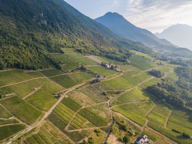 Private Jet rental visit french vineyards