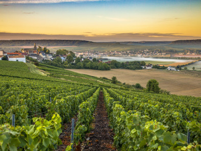 VIP excursion Visit of the French vineyards by private jet by a Private Jet, thanks to Private Jet Charter service from AB Corporate Aviation, showing vineyards-private-jet.