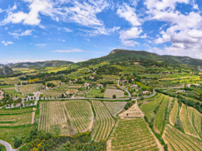 VIP excursion Visit of the French vineyards by private jet by a Private Jet, thanks to Private Jet Charter service from AB Corporate Aviation, showing private-jet-flight-over-french-vineyards.