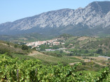 la-coume-du-roy-grand-cru-wine-landscape