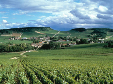 VIP excursion Burgundy vineyards by a Private Helicopter, thanks to Private Jet Charter service from AB Corporate Aviation, showing burgundy-vineyards-vine-grand-cru.