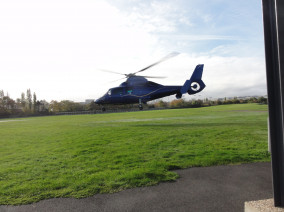 castle-of-thoiry-safari-park-dolphin-take-off